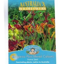 Bloom Field Shop -Bloom Field Shop apo kangaroo paw mixed seed