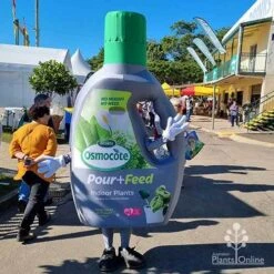 Osmocote 1L Pour + Feed Cacti And Succulent Fertiliser 7 Osmocote 1L Pour + Feed Cacti And Succulent Fertiliser -Bloom Field Shop apo pour feed mascot qge