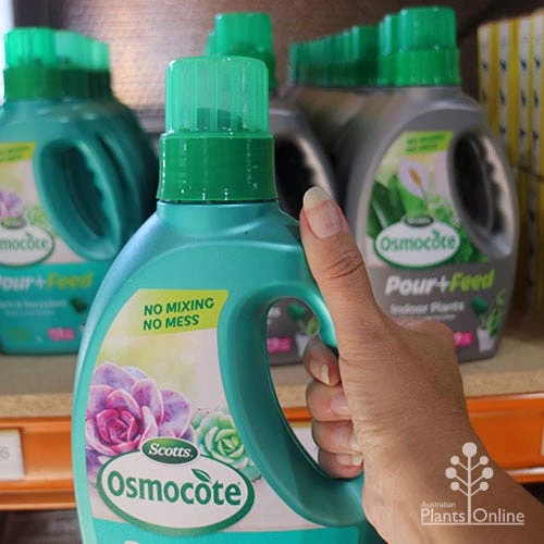 Osmocote 1L Pour + Feed Cacti And Succulent Fertiliser 4 Osmocote 1L Pour + Feed Cacti And Succulent Fertiliser - Image 2