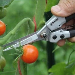 Compact Snips 7 Compact Snips -Bloom Field Shop compact snips