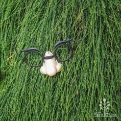 Casuarina Cousin It 17 Casuarina Cousin It -Bloom Field Shop cousin it 4 fake nose