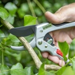 Ratchet Anvil Secateurs -Bloom Field Shop darlac ratchet anvil pruner 1