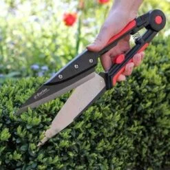 Expert Topiary Shear -Bloom Field Shop darlac topiary