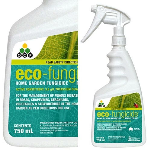 Eco-fungicide Spray 750ml 3 Eco-fungicide Spray 750ml