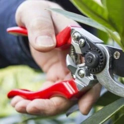 Left Hand Bypass Secateurs -Bloom Field Shop left handed secateurs closer