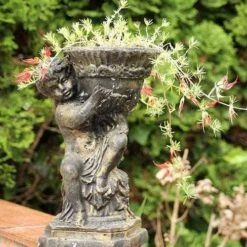 Lotus Red Flash - Parrot's Beak 14 Lotus Red Flash - Parrot's Beak -Bloom Field Shop lotus planted