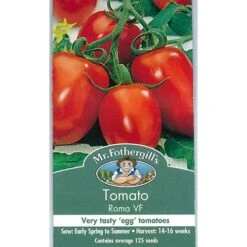 Bloom Field Shop -Bloom Field Shop mrf roma