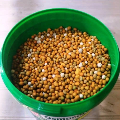 Osmocote 700g Vegetable, Tomato, Herb & Garden Beds Fertiliser 4 Osmocote 700g Vegetable, Tomato, Herb & Garden Beds Fertiliser - Image 2