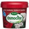 Osmocote 700g Roses, Gardenias, Azaleas & Camellias Fertiliser -Bloom Field Shop osmocote roses 3