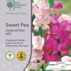 Sweet Pea Everlasting Mix - Seed -Bloom Field Shop rhs everlasting pea