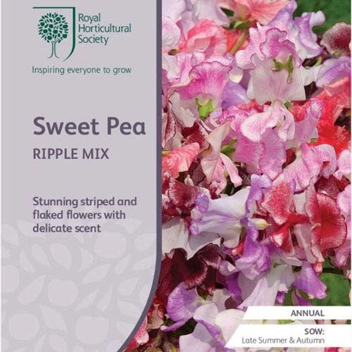 Sweet Pea Ripple Mix - Seed 3 Sweet Pea Ripple Mix - Seed